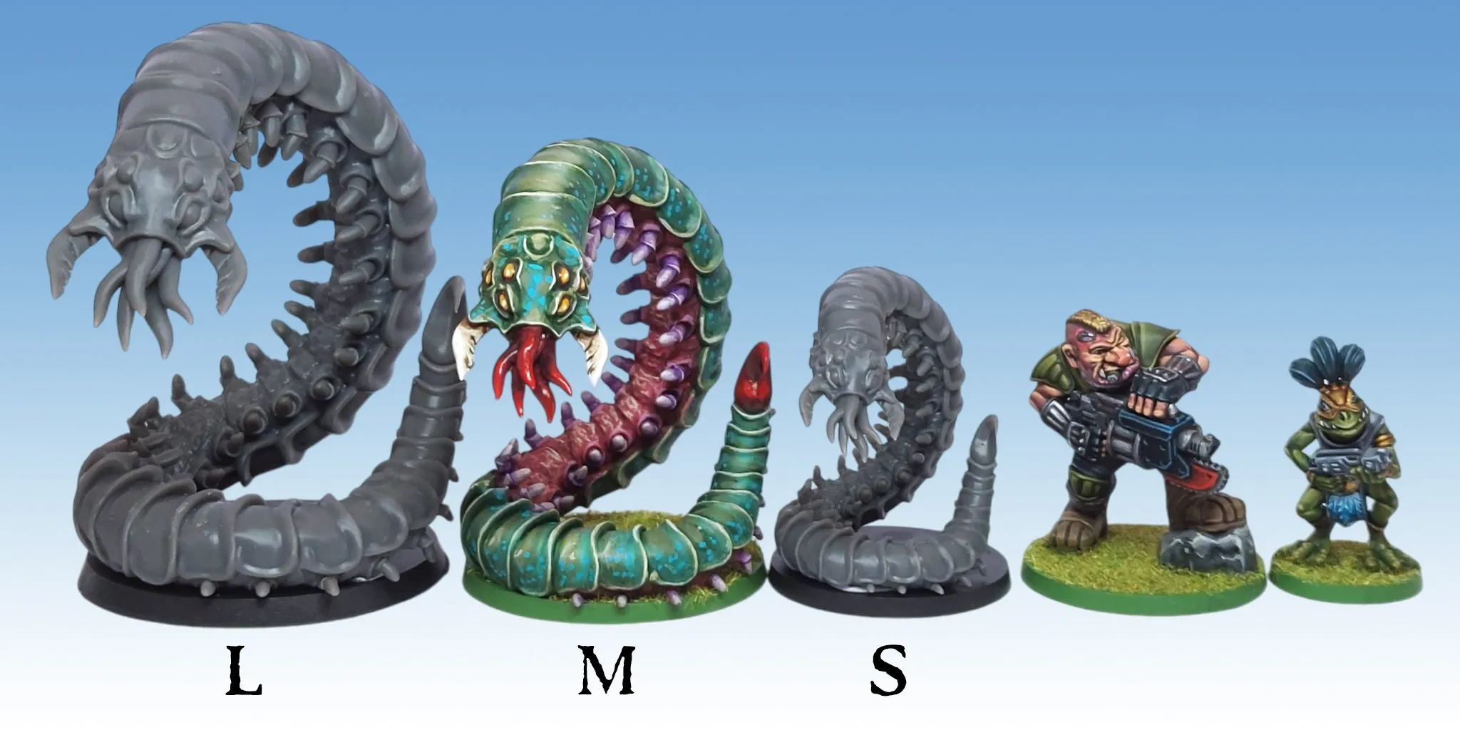 Devil Centipede (Medium) - Image 2