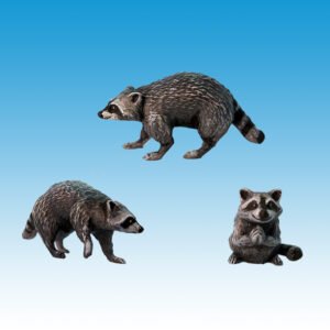 Racoons