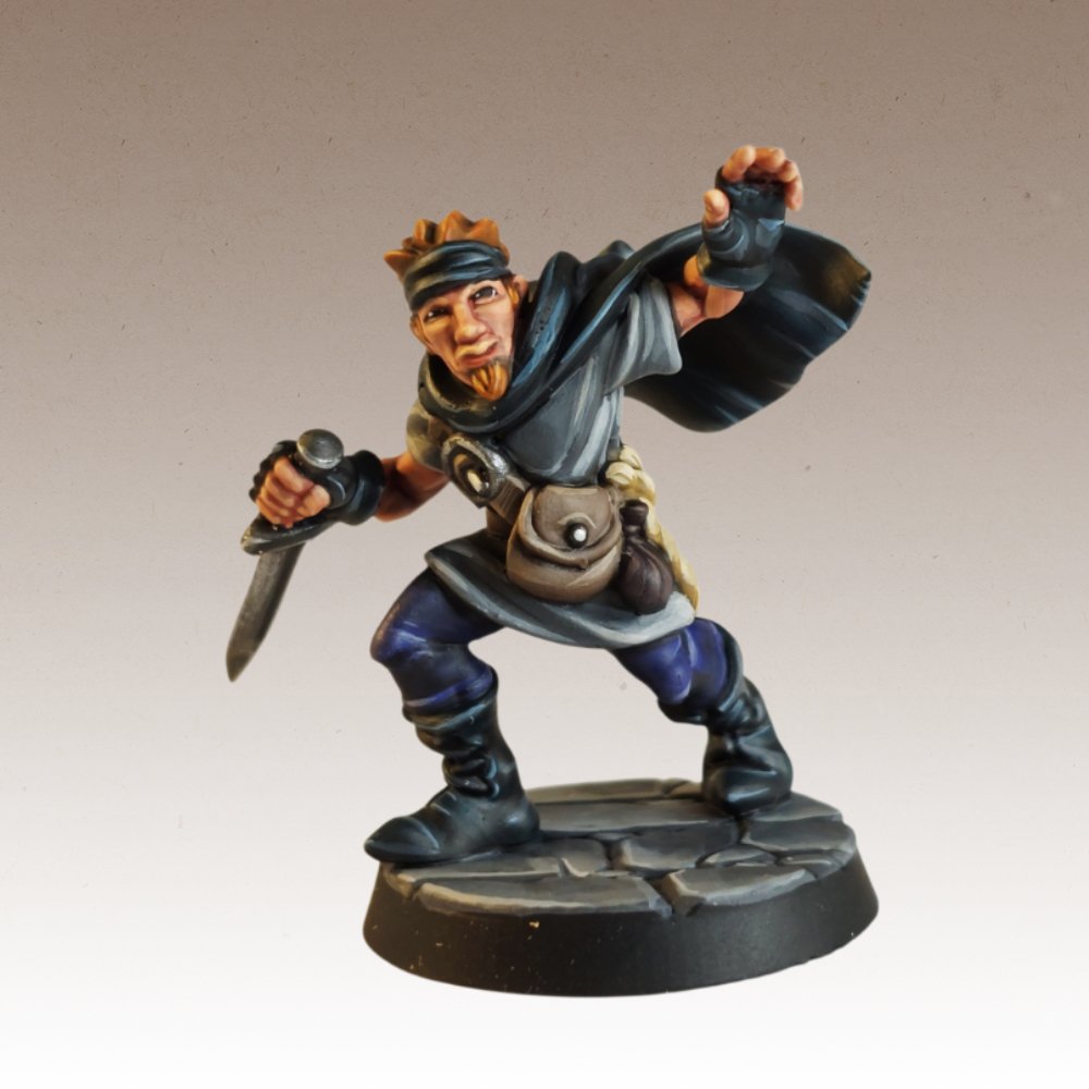 Male Human Rogue